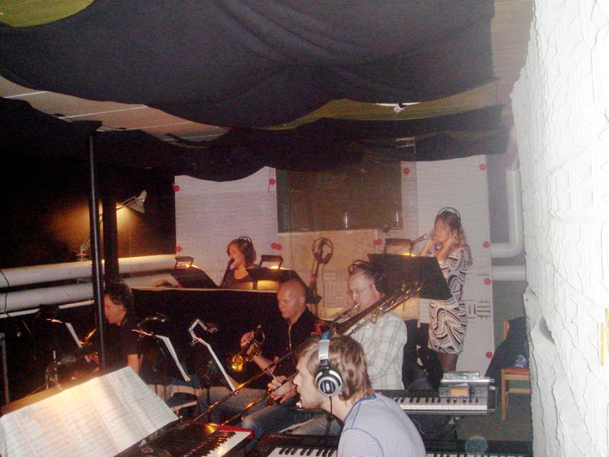 Musiker i orkesterdiket 5